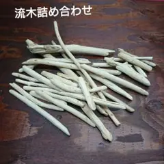 Item thumbnail for item 6fabb97f-087f-4ad0-b045-a2d62b3ee041