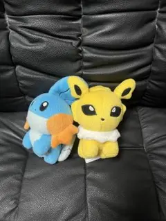 ポケモン ぬいぐるみセット