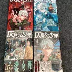 ほの見える少年 全4巻セット