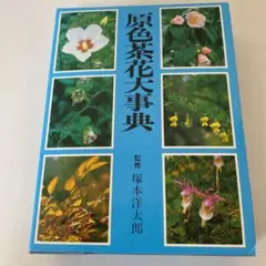 B 162              茶花大辞典     淡交社・  1～6月 2025年最新】茶花大事典の人気アイテム - メルカリ