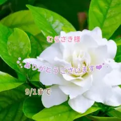 むらさき様 おまとめパーツ(˘͈ᵕ ˘͈ *)♡