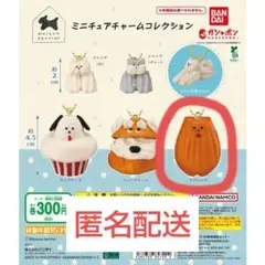 Maison terrier ミニチュアチャームコレクション　マドレーヌ