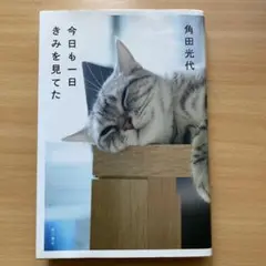 今日も一日きみを見てた 角田光代 KADOKAWA