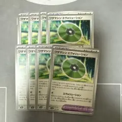 エヴォリューション8枚セット