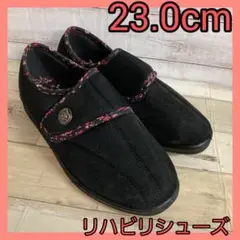 Item thumbnail for item 81fe01ea-38c8-44ad-a046-36f53eb587be