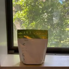 viivaオーガニックグリーンパワー