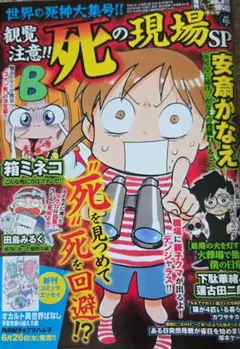 観覧注意！！　死の現場SP