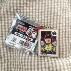 オリックス　常熱かるたキーホルダー　内藤鵬