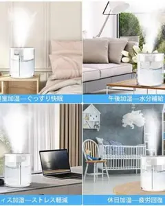 加湿器 シックシャット専用霧化器 ドリームパスク - メルカリ