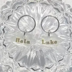 Item thumbnail for item b970895c-3c2d-4fba-be40-038ae221a4af