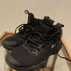 Item thumbnail for item f8bdf53b-8c4a-41e7-b943-6cf663c6ce44