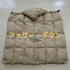 Item thumbnail for item df48b1e6-37c2-460e-bca7-a9c52e0f08fd