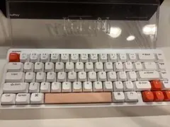 Nuphy Halo65 Baby Raccoon Switch (茶軸)