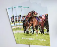 【リバティアイランド】グリーンチャンネル チラシ4枚