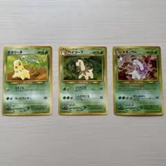 3枚セット 旧裏 チコリータ ベイリーフ メガニウム プレミアム