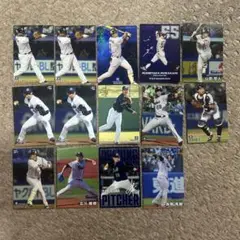 ヤクルト ③ カルビー プロ野球チップス カード 14枚セット 野球カード