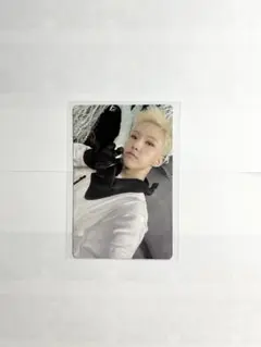 SEVENTEEN SECTOR 17 NEW HEIGHTS VER