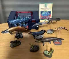 Item thumbnail for item c094e793-38f4-446a-831e-e29da5547a25