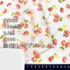 【匿名配送】3.0m PT005 60コットンローンプリント 苺柄 生地 白