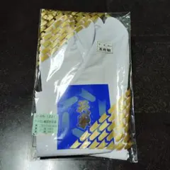 Item thumbnail for item bbb38f58-2d9e-45bd-b4fa-986ec7275db5