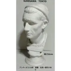 ミケランジェロ　胸像　石膏像　デッサン　助川東京　SUKEGAWA TOKYO ミケランジェロ 胸像 石膏像 デッサン 助川東京 SUKEGAWA TOKYO