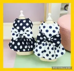Item thumbnail for item 995a6f3d-da55-42e7-bef1-ebab16c7da55