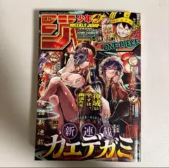 週刊少年ジャンプ 2025年7月7日号 30号 no.30 チケット付き