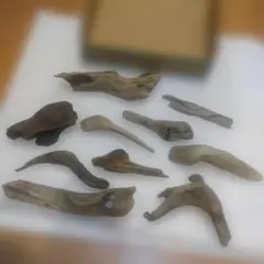 Item thumbnail for item b3972580-2a99-48bc-a13e-a902c97253f5