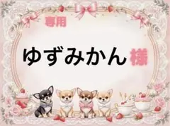 専用