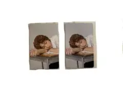 テニミュ 全氷 トレーディングカード トレカ 芥川慈郎 2枚