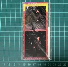 Item thumbnail for item b8de9882-79c8-477b-8c35-9f48857b8e40