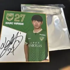 東京ヴェルディ 直筆山田剛綺選手サインボード