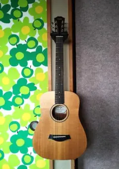 Taylor BT1 Baby ベイビーテイラー 純正ケース付属 Baby Taylor (BT1) Layered Walnut Acoustic Guitar | Taylor