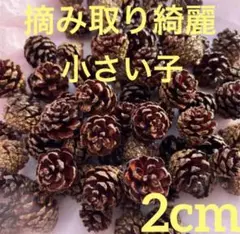 Item thumbnail for item 7e0c3721-cd0c-4ef9-8912-5d34ed350573