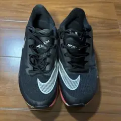 Item thumbnail for item c39c603d-9958-459d-96fd-60b0fc76c06b