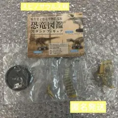 福井県立恐竜博物館ガチャガチャ スピノサウルス科