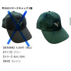 東京ヴェルディ 2025 Vマークキャップ グリーン