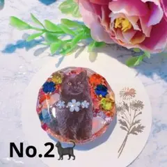 No.2 黒猫レジンヘアゴム　（ブローチ・ペンダント）