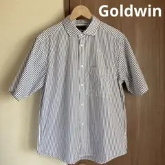 Goldwin ストライプドコンフォーダブルショートスリーブシャツ　半袖シャツ