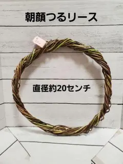 朝顔 つる リース 土台 ② （8月20日作成）　直径約20センチ
