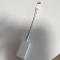 アップル Apple MD821AM/A Lightning - USB