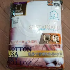 Item thumbnail for item a6150cef-da38-4443-b527-35bfdf74eb68