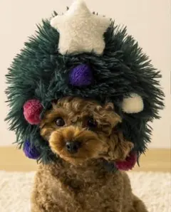 Item thumbnail for item d761b5f9-ef73-4ceb-9e85-a0f3a24ae7a9