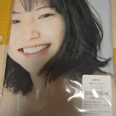 武田玲奈　両面抱き枕カバー90cm×45cm　新品未使用