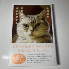 明日も一日きみを見てる　角田光代