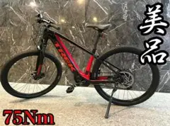 TREK POWERFLY5 Ebike 電動アシスト自転車 マウンテンバイク