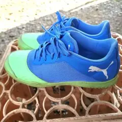 Item thumbnail for item 90aa2b25-1d14-43a7-8d88-b63b59d0bda0