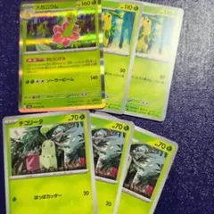 メガニウム　進化ライン６枚セット