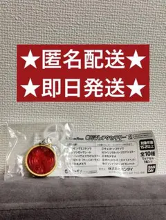 仮面ライダー　めじるしアクセサリー２　タカメダル！