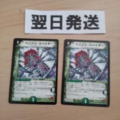 ㈩ベニジシスパイダー 2枚